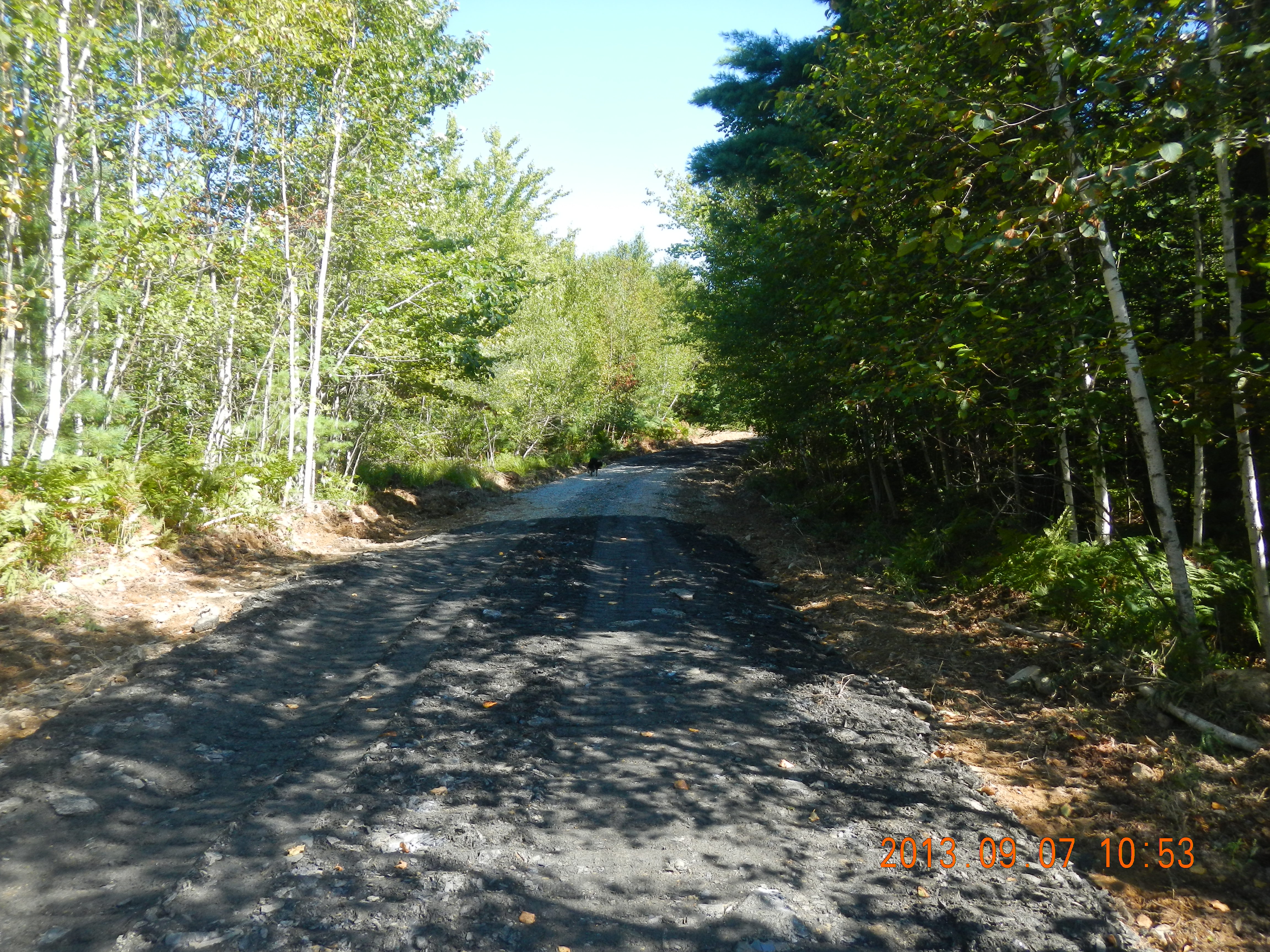The wet land section with gravel instead of shale